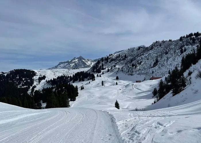 Appartement With Stunning View! Ski-in, Ski-out *