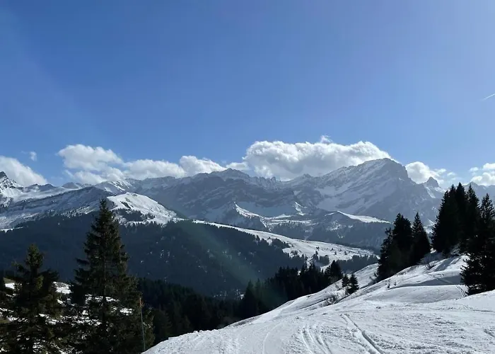 With Stunning View! Ski-in, Ski-out Apartment